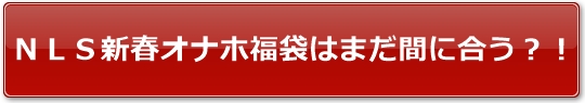NLS新春オナホ福袋はまだ間に合う?!